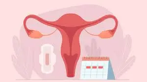 menstrual cycle period reproduction